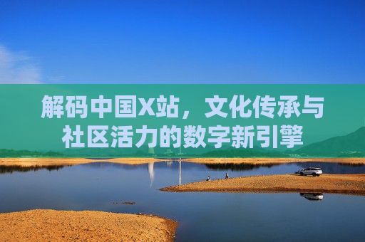 解码中国X站，文化传承与社区活力的数字新引擎