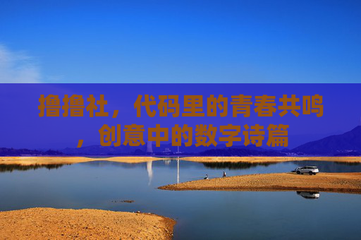 撸撸社，代码里的青春共鸣，创意中的数字诗篇