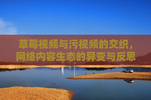 草莓视频与污视频的交织，网络内容生态的异变与反思