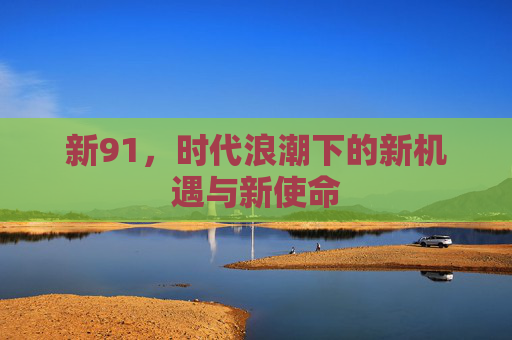 新91，时代浪潮下的新机遇与新使命