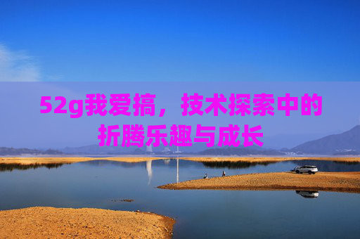 52g我爱搞，技术探索中的折腾乐趣与成长