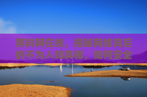 黑料网在线，揭秘网络背后的不为人知真相，如何安全获取信息？
