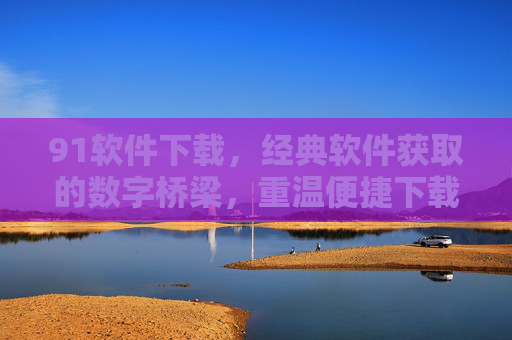 91软件下载，经典软件获取的数字桥梁，重温便捷下载体验