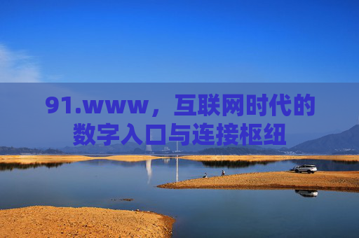 91.www，互联网时代的数字入口与连接枢纽