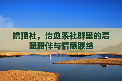 撸猫社，治愈系社群里的温暖陪伴与情感联结