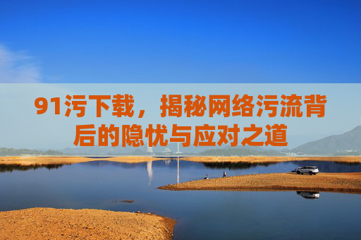 91污下载，揭秘网络污流背后的隐忧与应对之道