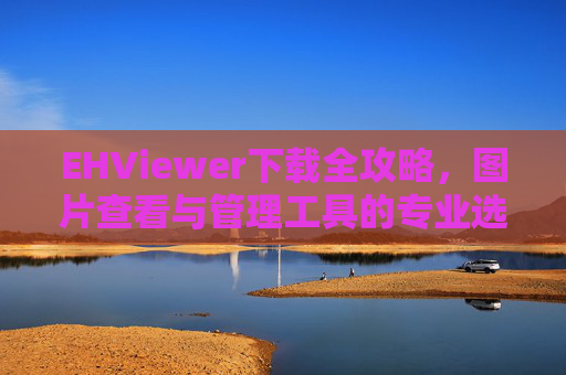 EHViewer下载全攻略，图片查看与管理工具的专业选择