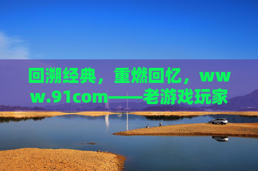回溯经典，重燃回忆，www.91com——老游戏玩家的数字时光机