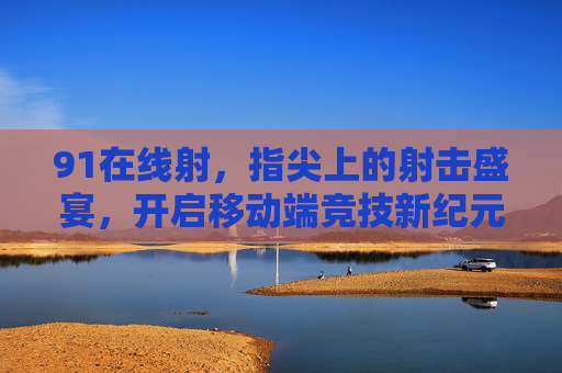 91在线射，指尖上的射击盛宴，开启移动端竞技新纪元