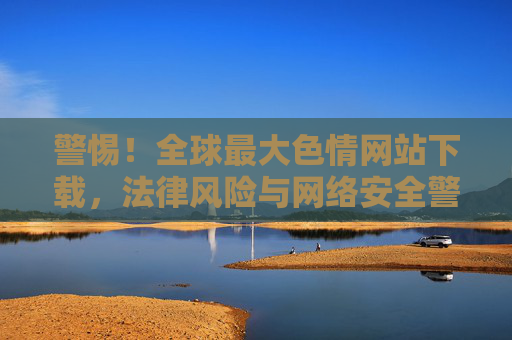 警惕！全球最大色情网站下载，法律风险与网络安全警示