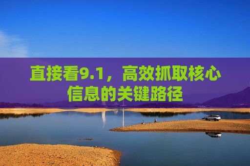 直接看9.1，高效抓取核心信息的关键路径