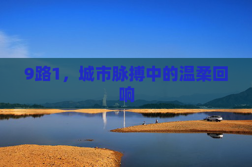 9路1，城市脉搏中的温柔回响