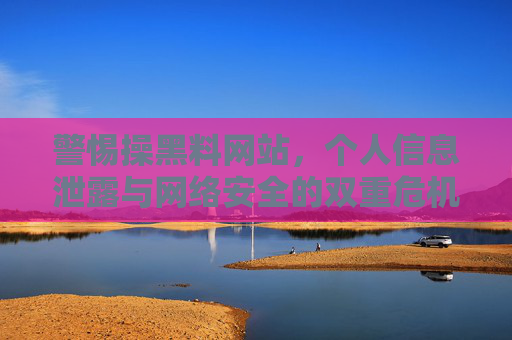 警惕操黑料网站，个人信息泄露与网络安全的双重危机