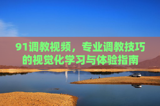 91调教视频，专业调教技巧的视觉化学习与体验指南