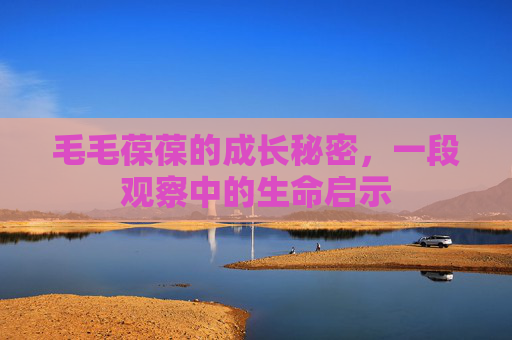 毛毛葆葆的成长秘密，一段观察中的生命启示