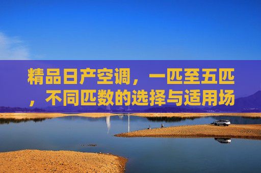 精品日产空调，一匹至五匹，不同匹数的选择与适用场景解析