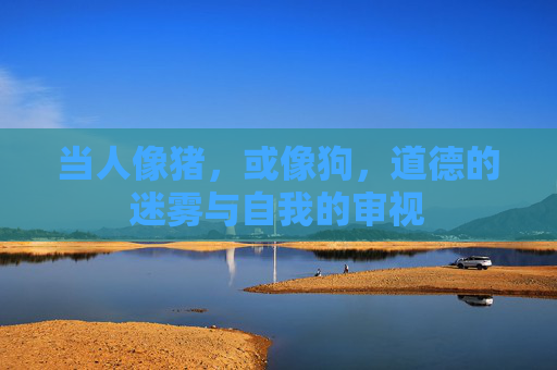当人像猪，或像狗，道德的迷雾与自我的审视