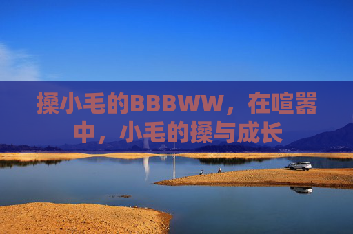 搡小毛的BBBWW，在喧嚣中，小毛的搡与成长
