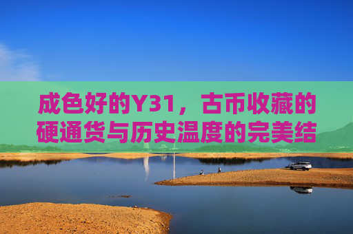 成色好的Y31，古币收藏的硬通货与历史温度的完美结合