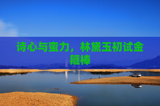 诗心与蛮力，林黛玉初试金箍棒