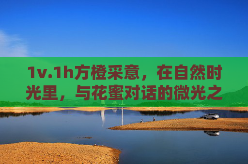 1v.1h方橙采意，在自然时光里，与花蜜对话的微光之旅