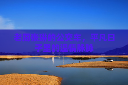 老周张琳的公交车，平凡日子里的温情脉脉