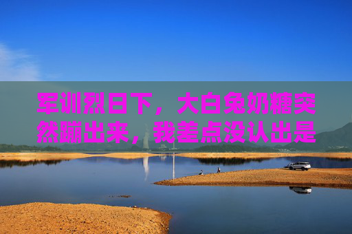 军训烈日下，大白兔奶糖突然蹦出来，我差点没认出是同桌的秘密武器