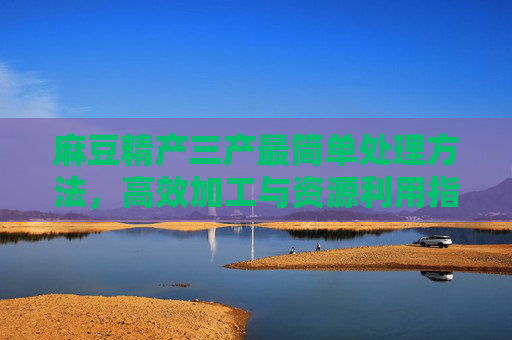 麻豆精产三产最简单处理方法，高效加工与资源利用指南