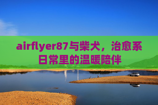 airflyer87与柴犬，治愈系日常里的温暖陪伴