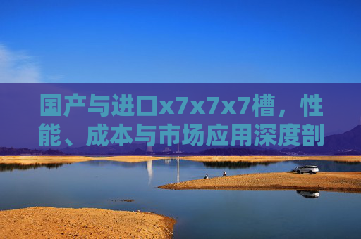 国产与进口x7x7x7槽，性能、成本与市场应用深度剖析