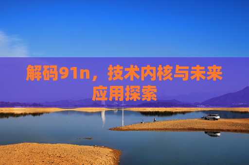 解码91n，技术内核与未来应用探索