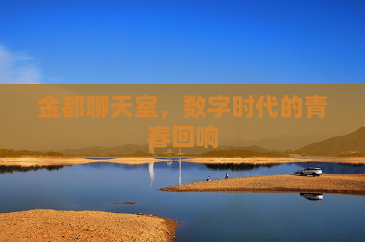 金都聊天室，数字时代的青春回响