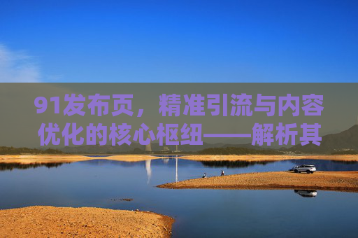 91发布页，精准引流与内容优化的核心枢纽——解析其功能与应用策略