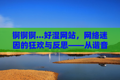 锕锕锕...好湿网站，网络迷因的狂欢与反思——从谐音梗到文化符号的传播轨迹