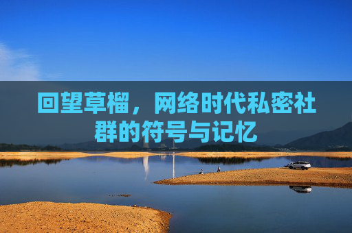 回望草榴，网络时代私密社群的符号与记忆