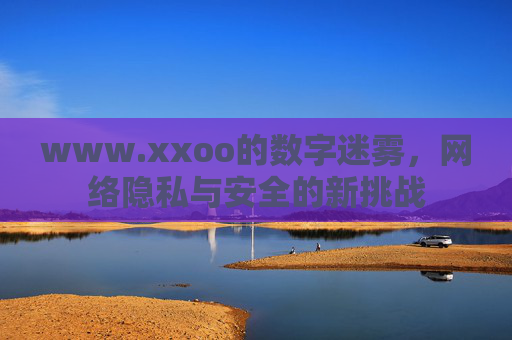 www.xxoo的数字迷雾，网络隐私与安全的新挑战