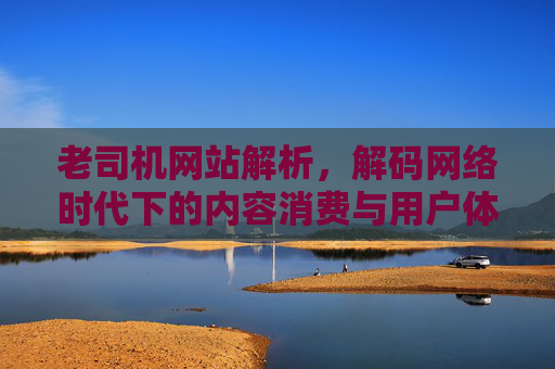 老司机网站解析，解码网络时代下的内容消费与用户体验变迁