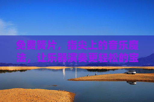 免费簧片，指尖上的音乐魔法，让乐器演奏更轻松的宝藏资源