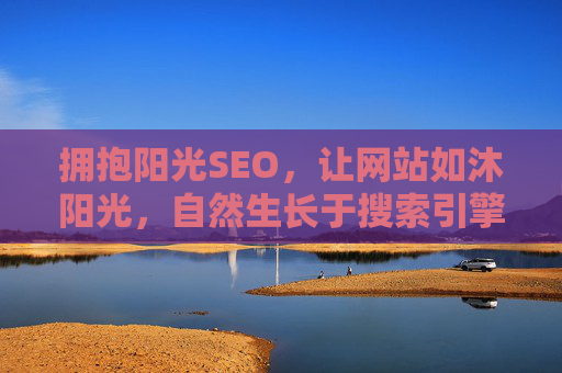 拥抱阳光SEO，让网站如沐阳光，自然生长于搜索引擎的视野