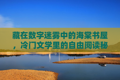 藏在数字迷雾中的海棠书屋，冷门文学里的自由阅读秘境