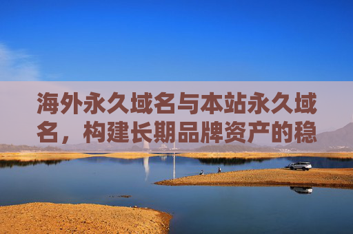 海外永久域名与本站永久域名，构建长期品牌资产的稳定基石