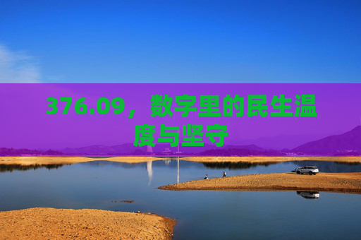 376.09，数字里的民生温度与坚守
