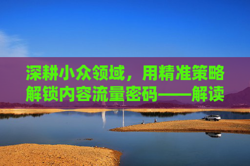 深耕小众领域，用精准策略解锁内容流量密码——解读虫虫SEO的实战智慧