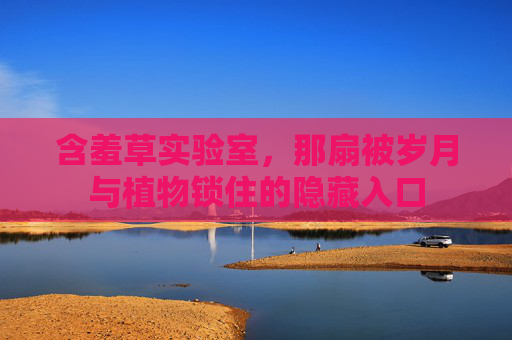 含羞草实验室，那扇被岁月与植物锁住的隐藏入口