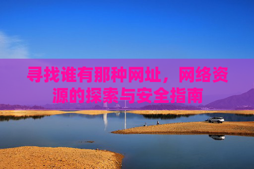 寻找谁有那种网址，网络资源的探索与安全指南