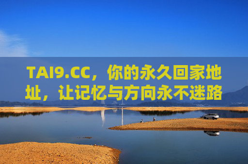 TAI9.CC，你的永久回家地址，让记忆与方向永不迷路