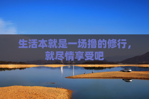 生活本就是一场撸的修行，就尽情享受吧
