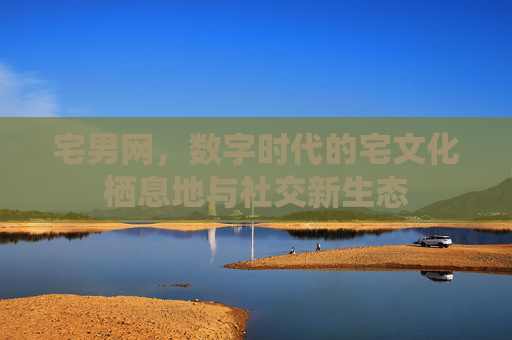 宅男网，数字时代的宅文化栖息地与社交新生态