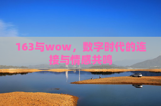 163与wow，数字时代的连接与情感共鸣