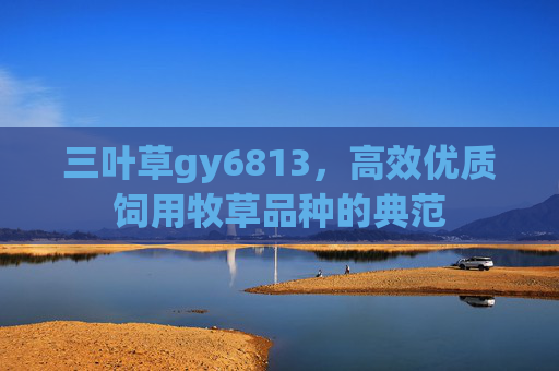 三叶草gy6813，高效优质饲用牧草品种的典范